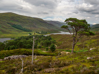 Glen Cannich