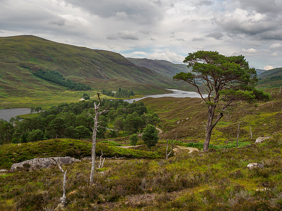 Glen Cannich