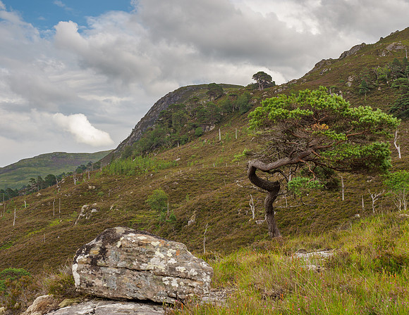 Eagle Crag