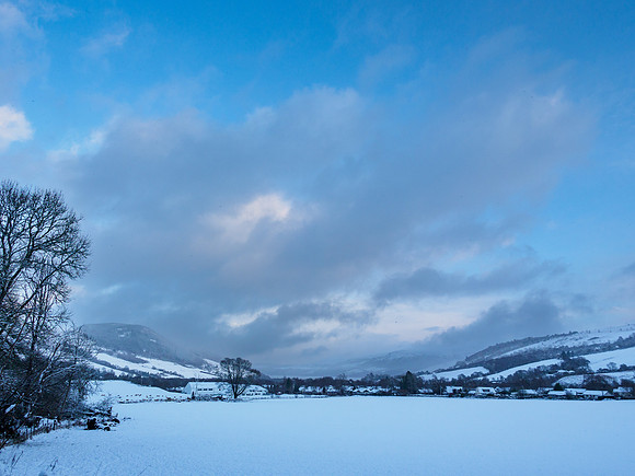 Snowy Balmacaan