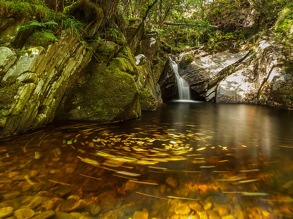 2014-09 Neaty Burn Swirl