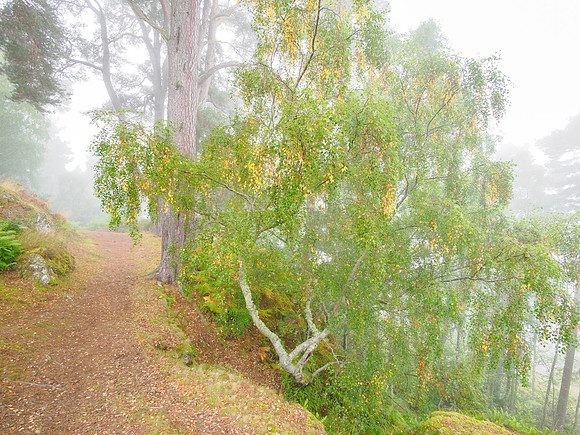 A Hint of Autumn