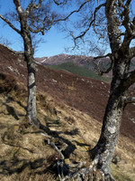Sgurr Na Diollaid_0693