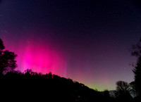 20250403-Aurora Borealis-OM014921