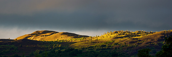 Late Light on the Hill