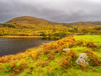 20241018-Glen Cannich-OM013397-Enhanced-NR