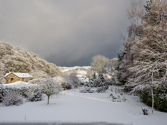 2022-01 Garden Snow