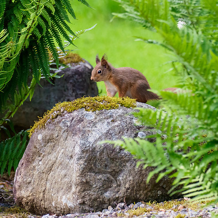 20220612-Garden-EM127885-Edit