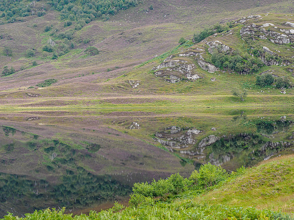 Glen Strathfarrar