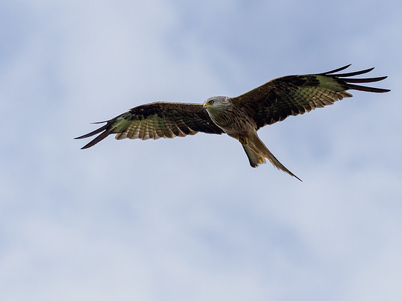 20220716-Loch Ussie-EM121419
