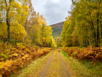 20241018-Glen Cannich-OM013402