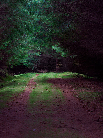 A Hint of Light