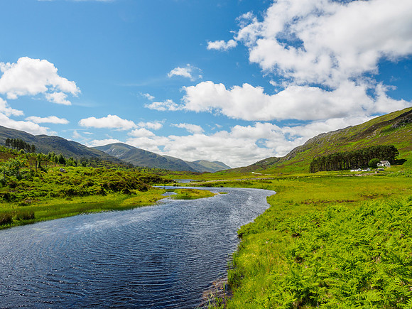 Summer in Glen Cannich