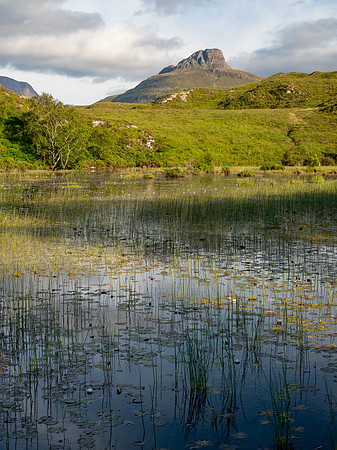 Lily Loch