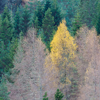 20241130-Blackfold-OM016386-Enhanced-NR