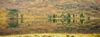 Loch Coulin
