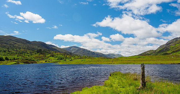 Summer in Glen Cannich