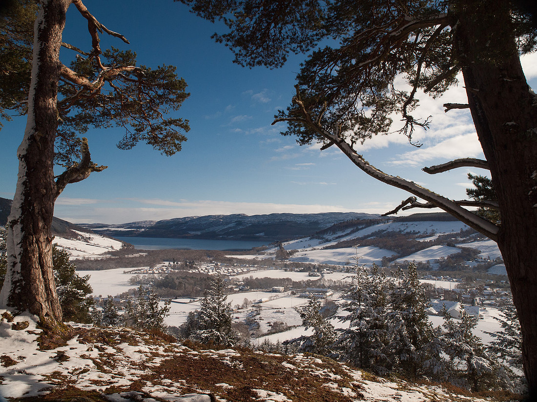 Snowy Drumnadrochit