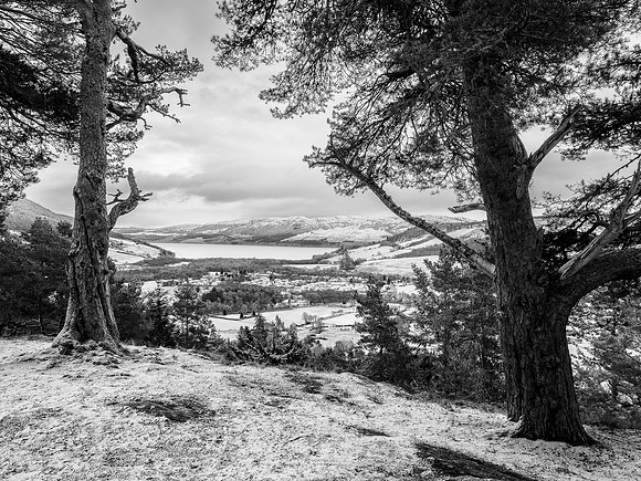 Craigmonie Viewpoint