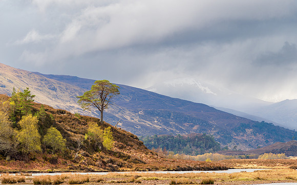 Mixed Bag of Weather