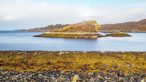 20241027-Assynt-M12A9769