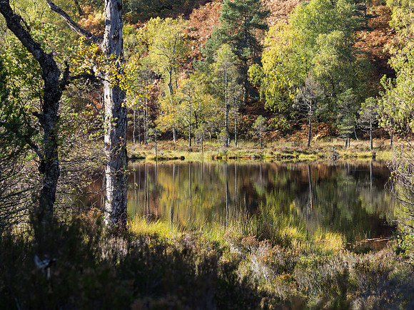 Coire Loch - Glen Affric