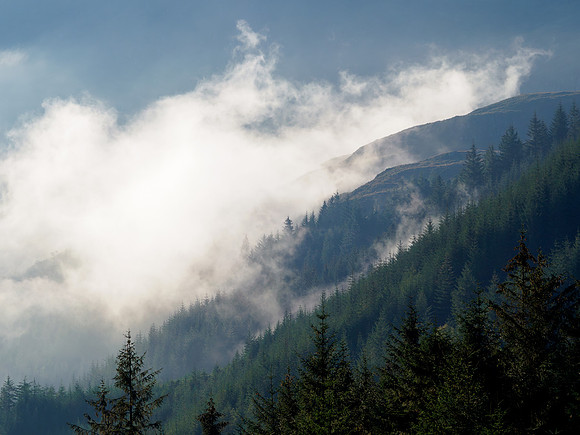 Smouldering Hillside