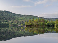 20220910-Glen Affric -OM012684