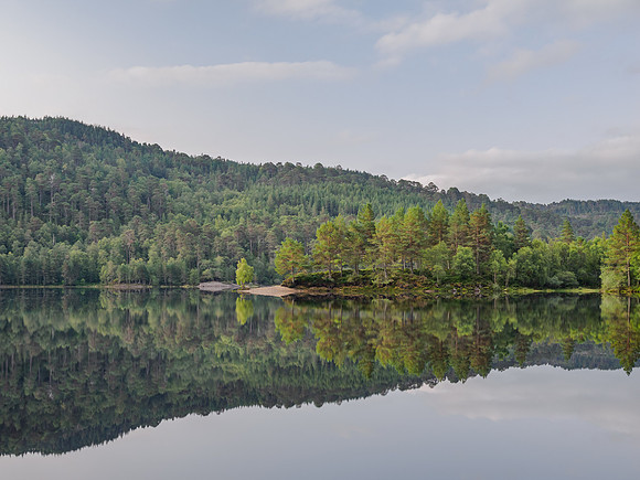 20220910-Glen Affric -OM012684