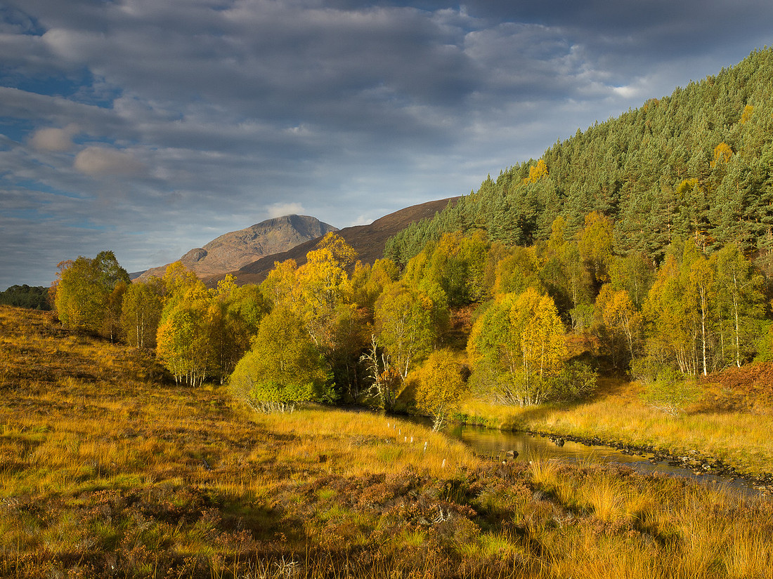 Glen Affric Gold