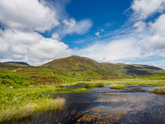 Summer in Glen Cannich