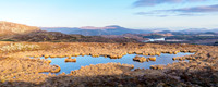 The Suidhe