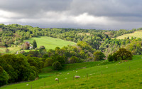 Woodland Walk