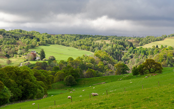 Woodland Walk