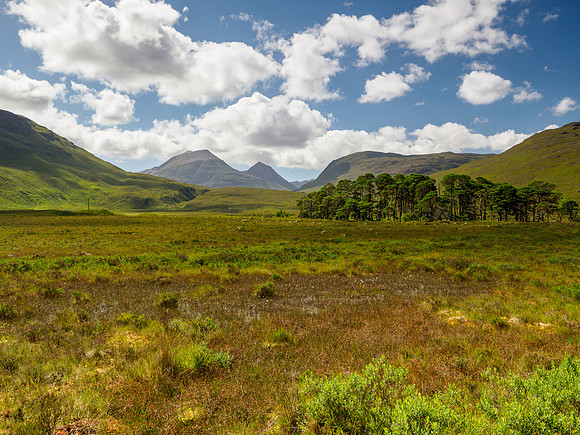 20220731-Gairloch-M12A4639