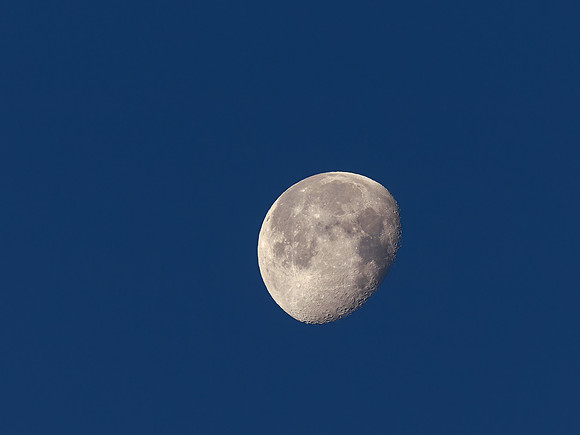 2024-11 Moon