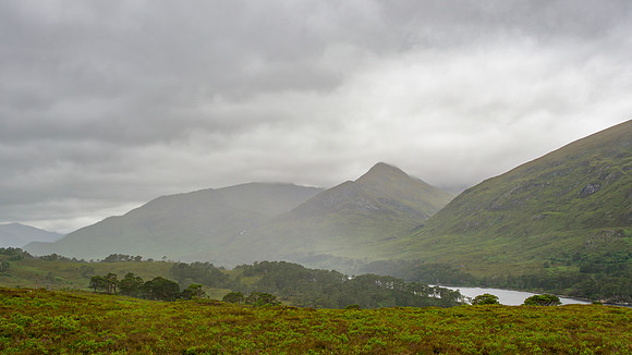 20240702-Glen Affric-M12A8942-Enhanced-NR