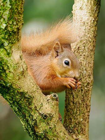 Quite Cute