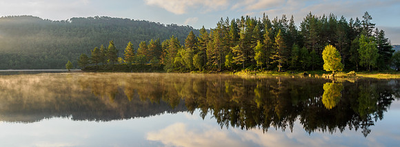 Glen Affric Reflection